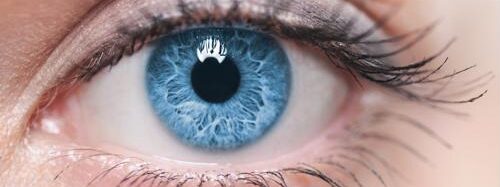 Epstein email sparks controversy over Modi’s Israel visit