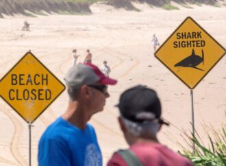Sydney beaches closed after spate of shark attacks