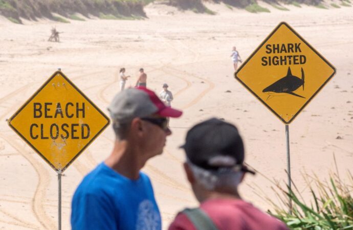 Sydney beaches closed after spate of shark attacks